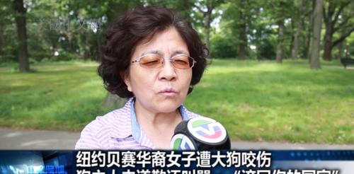 中国侨网