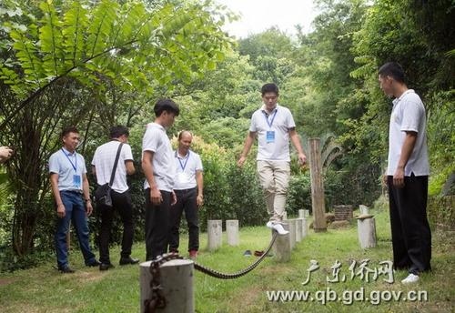 中国侨网参观禅武中心，体验禅武文化