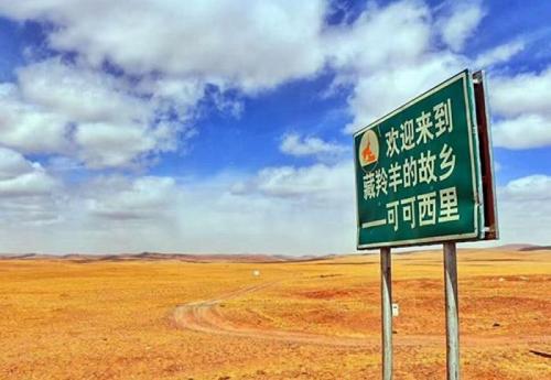 中国侨网资料图