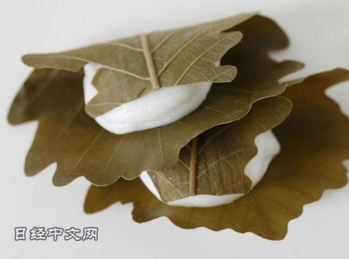 中国侨网日式传统点心“柏叶饼”。(日经中文网)