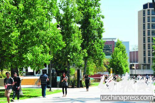 中国侨网加州州立大学校园内。(美国《侨报》/聂达 摄)