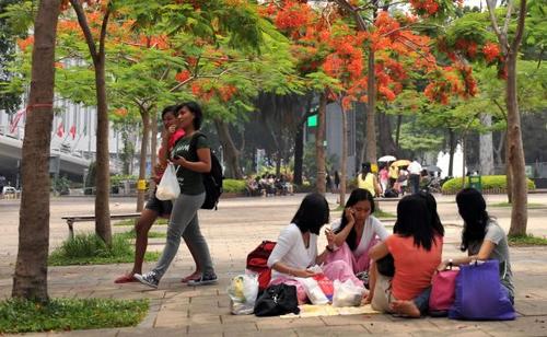 中国侨网资料图片：在香港维多利亚公园休息的菲佣。新华社记者 陈晓伟 摄