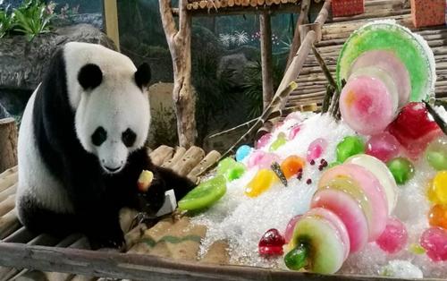 中国侨网旅泰大熊猫创创（泰国《世界日报》）