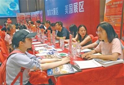 中国侨网宁波某留学中介机构工作人员正在为客户介绍出国留学的相关内容。（殷聪 摄） 