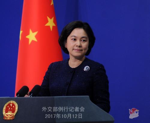 中国侨网华春莹。图片来源:外交部网站。