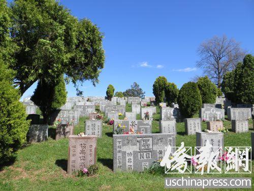 中国侨网资料图，位于纽约皇后区格兰黛尔的柏山墓园有许多华人的墓地碑牌。(美国《侨报》/王伊琳 摄)