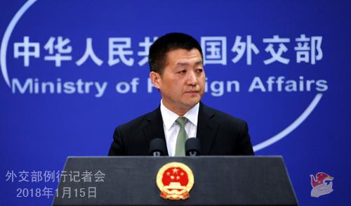 中国侨网资料图:外交部网站