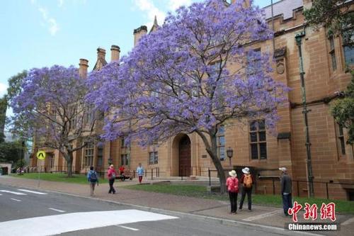 中国侨网资料图：澳大利亚悉尼大学。(中新社记者 陶社兰 摄)