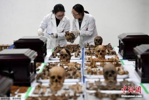 中国侨网资料图:在韩中国人民志愿军烈士遗骸。