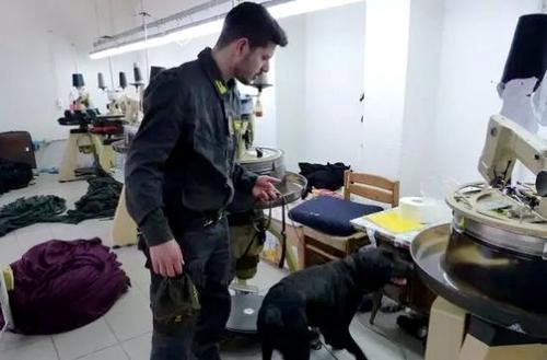 中国侨网意大利警方首次出动警犬队配合税务警察的检查工作。(意大利欧联网)