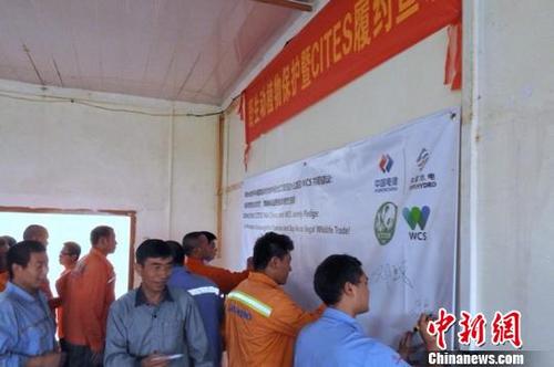 中国侨网中国水电建设集团国际工程有限公司员工在抵制非法野生动植物贸易的倡议上签字　杜晓通　摄