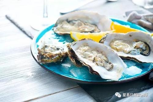 中国侨网(图片来源:《星岛日报》)