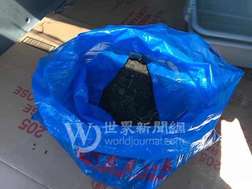 中国侨网这个装着泥土的蓝色塑料袋，就是引起网络攻击的“原凶”。(美国《世界日报》/黄惠玲 摄)