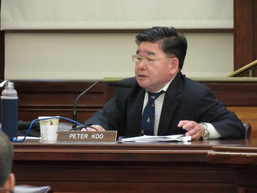中国侨网顾雅明认为,餐车摊贩及等待的人潮是造成法拉盛人行道拥挤的主要原因之一。(美国《世界日报》/颜嘉莹 摄)