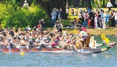 中国侨网6月16日，加拿大举行第30届多伦多国际龙舟节，这项为期两天的传统活动吸引了来自世界各地的逾5000人参加。图为参赛者在龙舟赛中。(新华社/邹峥 摄)