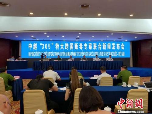 中国侨网发布会现场。 钟欣 摄