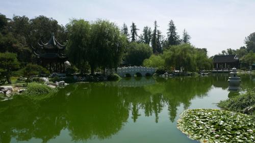 中国侨网流芳园每日吸引大量游客（美国《世界日报》/李雪 摄）