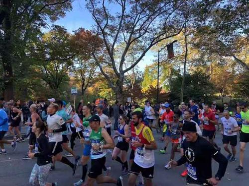 中国侨网纽约马拉松有5万人参赛,非常热闹。记者颜嘉莹/摄影