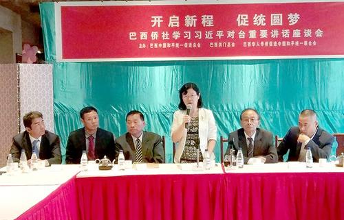 中国侨网 陈佩洁总领事发言。
