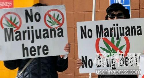 中国侨网华人居民抗议大麻活动在圣盖博谷地区扩展。（美国《侨报》/翁羽 摄）