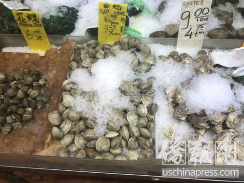 中国侨网纽约华埠海鲜市场出售的新鲜贝壳类海鲜。（美国《侨报》/尹英姿 摄）