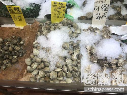 中国侨网纽约华埠海鲜市场出售的新鲜贝壳类海鲜。(美国《侨报》/尹英姿 摄)