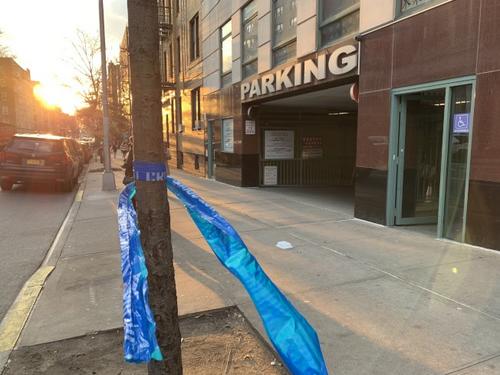 纽约华裔男子被撞生命危殆肇事者为华裔医生