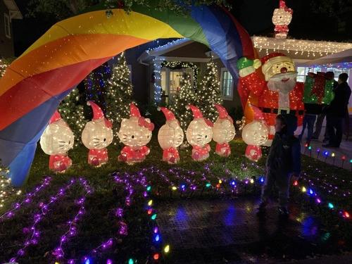 中国侨网还有人将Hello Kitty作为主题,深受小朋友的喜爱。 (美国《世界日报》/李荣 摄)