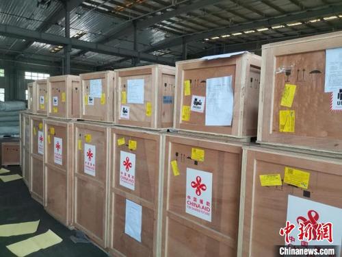中国侨网至此，中国政府向菲律宾政府无偿援助的130台呼吸机全部运抵马尼拉。中国驻菲律宾使馆供图