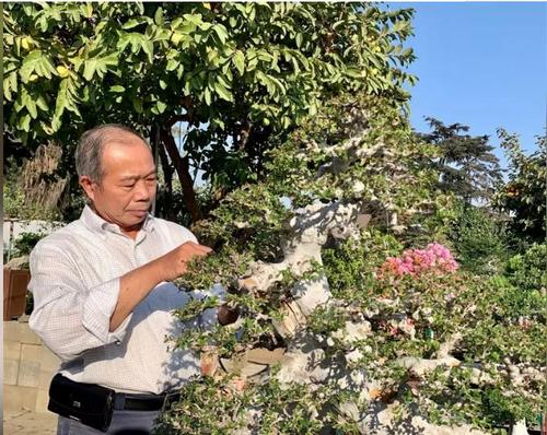 中国侨网车兆生从搬运工变盆景大师。(图片来源:美国《世界日报》/张宏 摄)