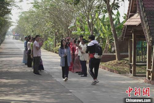 中国侨网图为朱叶娬黛今年春节走进西双版纳傣族村寨直播、录制短视频，传播傣族文化。　杜潇潇　摄