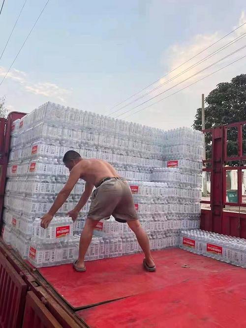 中国侨网由美国大芝加哥地区华侨华人捐赠给河南的救灾物资正在当地装车。(图片由大芝加哥华侨华人联合会提供)