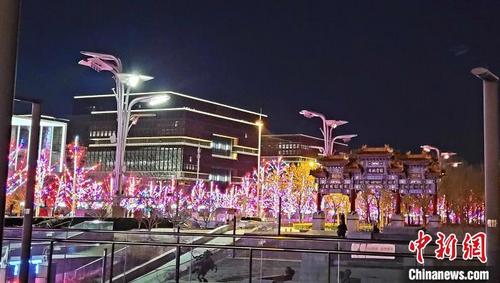 中国侨网冬奥会期间，北京的夜色给张志刚留下深刻印象　张志刚　摄