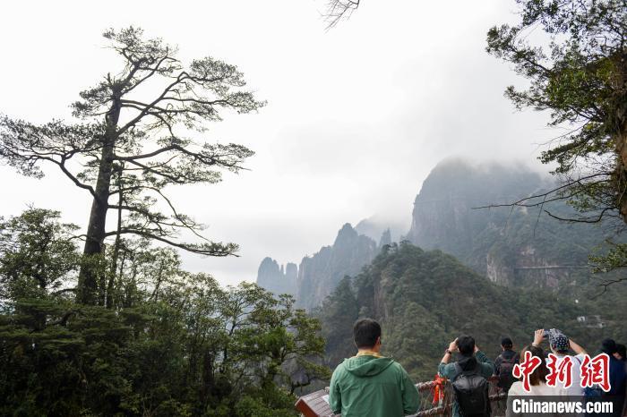 中国侨网华媒代表观赏莽山五指峰美景。中新网记者 杨华峰 摄