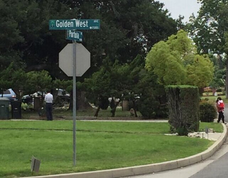 亚凯迪亚有民众发现一名身穿白色衬衫的路人试图拔孔雀羽毛。(美国《世界日报》/读者提供)