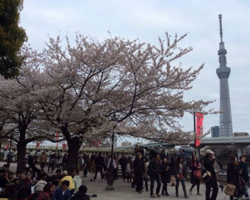 中国赴日游客吃闭门羹原因:日本人自卑心作怪