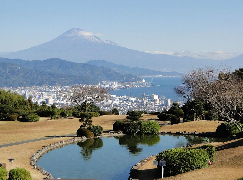 (日本新华侨报)