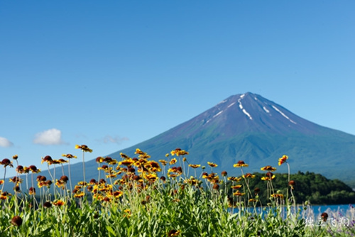 夏季的富士山(网页截图)