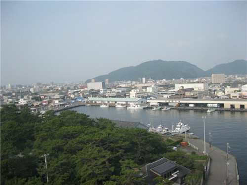 (日本新华侨报网)