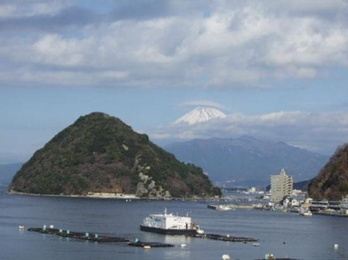 (日本新华侨报网)