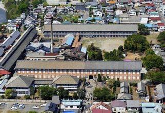 (日本新华侨报网)