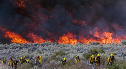 在超过1500名消防员的扑救下，有22%的火势受控。（美国《星岛日报》援引《洛杉矶时报》图片）
