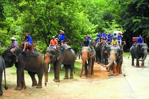 车队成员在泰国骑大象。
