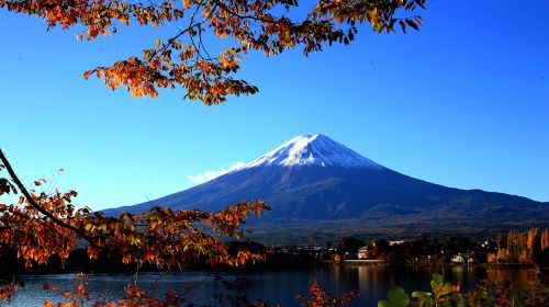 (日本新华侨报网)