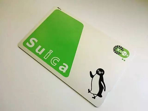 中国侨网绿色的Suica（西瓜卡）。（日本中文导报微信公众号）