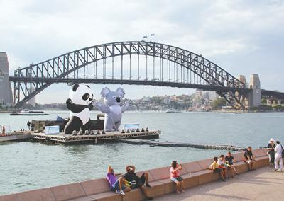 中国侨网2017“中澳旅游年”吉祥物卡通大熊猫和考拉亮相悉尼港湾。本报记者 鲍 捷摄