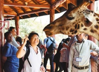 中国侨网春节期间，前往非洲旅游的中国游客越来越多。图为在肯尼亚首都内罗毕的长颈鹿中心，一名中国游客和长颈鹿互动。新华社记者 孙瑞博摄