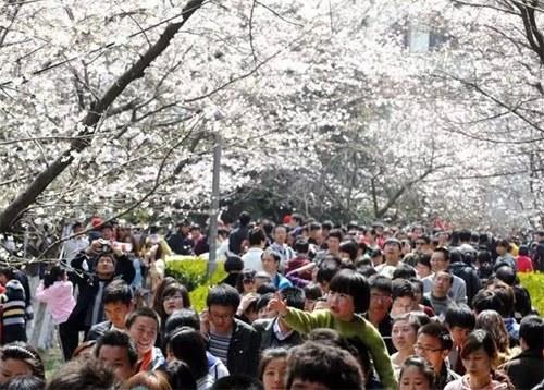 中国侨网(日本新华侨报网)