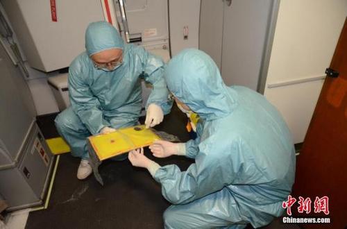 中国侨网四川检疫局从美国飞往国内航班客舱内截获活鼠  钟欣 摄