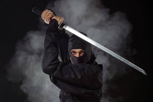 中国侨网忍者通常被认为是武艺高强的刺客,精通于近身搏斗、潜入、擒拿、并善用刀剑和飞镖。